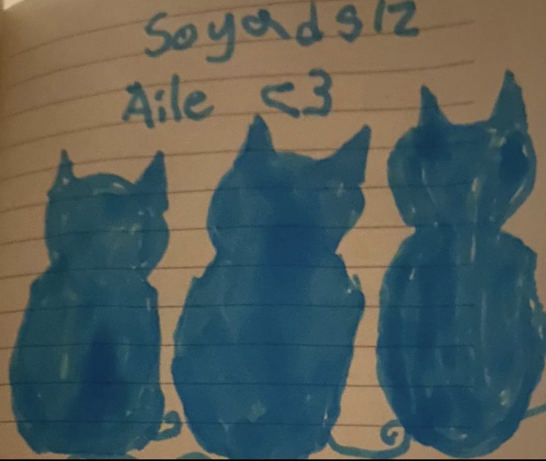 Lila'nın çizdiği, "Soyadsız Aile" yazılı üç kedi resmi